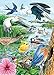 North American Birds, A 35-Piece Tray Puzzle by Cobble Hill