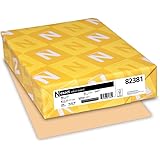 Exact Vellum Bristol, 8.5" x 11", 67 lb/147 GSM, Tan, 250 Sheets (82381)