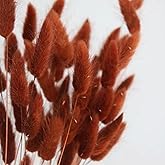 Bunny Tails Dried Flowers 100pcs Dried Pampass Grass Decor Bunny Tail Floral Stems 17 Inch Dried Flowers for Boho Decor Home Wedding Decoration Plants (Burnt Orange)