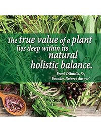 Nature 's Respuesta Nettle Leaf Alcohol Free – -1 FL oz, AF116, 1, 1, 1