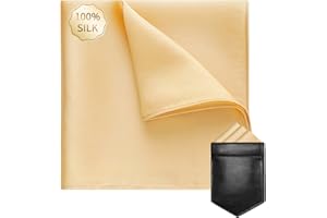 VICHERIA Handkerchiefs for Men, Pocket Squares for Men, 10 x 10 inch Silk Men's Handkerchief with Pocket Square Holder