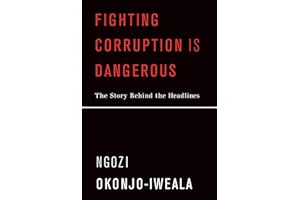 Fighting Corruption Is Dangerous: The Story Behind the Headlines