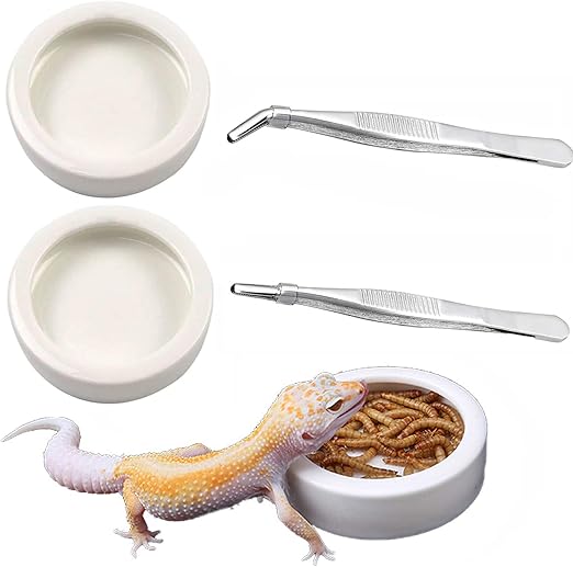 reptile food bowls
