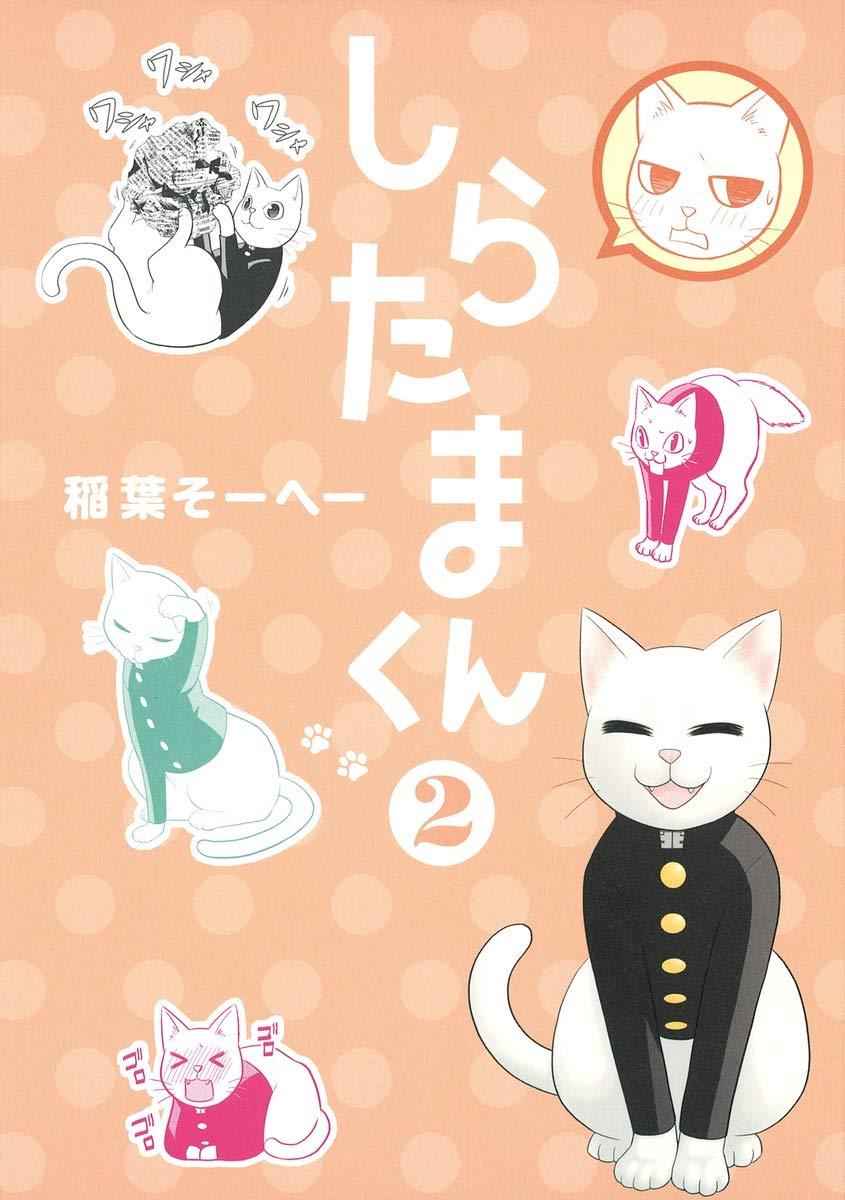 しらたまくん 2 ヤングジャンプコミックス 稲葉 そーへー 本 通販 Amazon