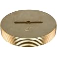 Eastman 4 Inch Slotted Brass Cleanout Plug, 42004 - Amazon.com
