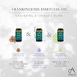 Absolute Aromas Frankincense Essential Oil 10ml Pure Boswellia Carteri view 2