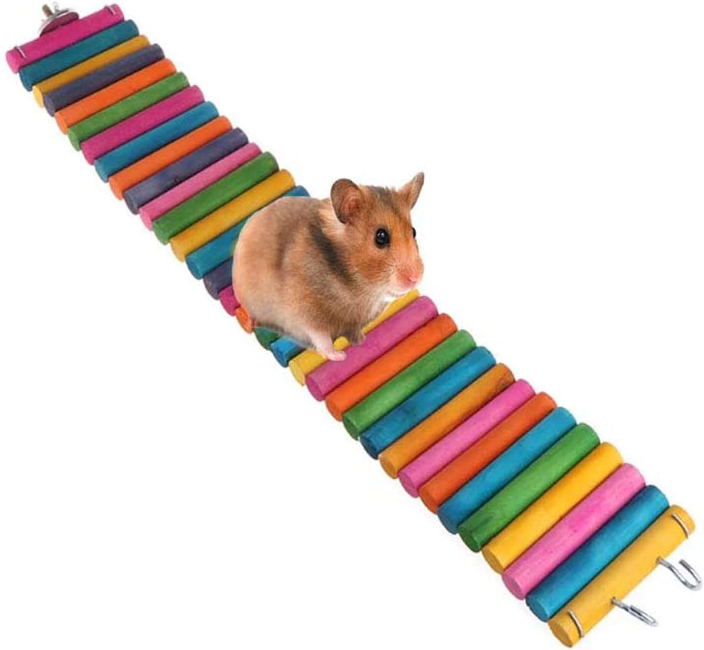hamster rainbow bridge