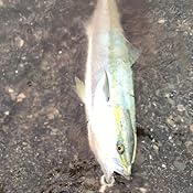 カスタマー画像