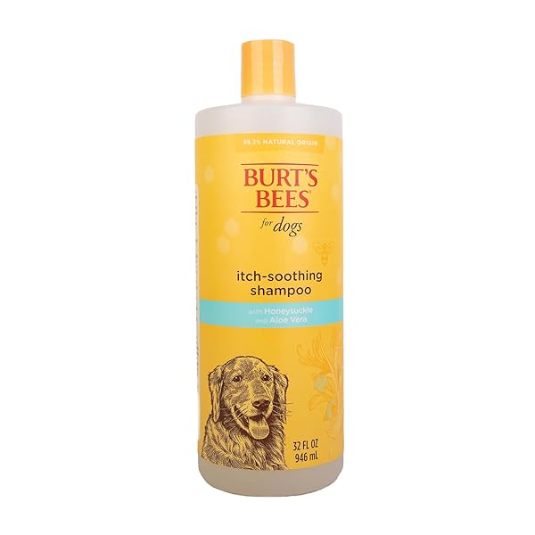 BURT’S BEES FOR PETS ITCH SOOTHING SHAMPOO WITH HONEYSUCKLE, 95% NATURAL ORIGIN FORMULAS, DOG SHAMPOO FOR ITCHY DOGS, DOG SHAMPOO ITCHY SKIN RELIEF, 32 OZ