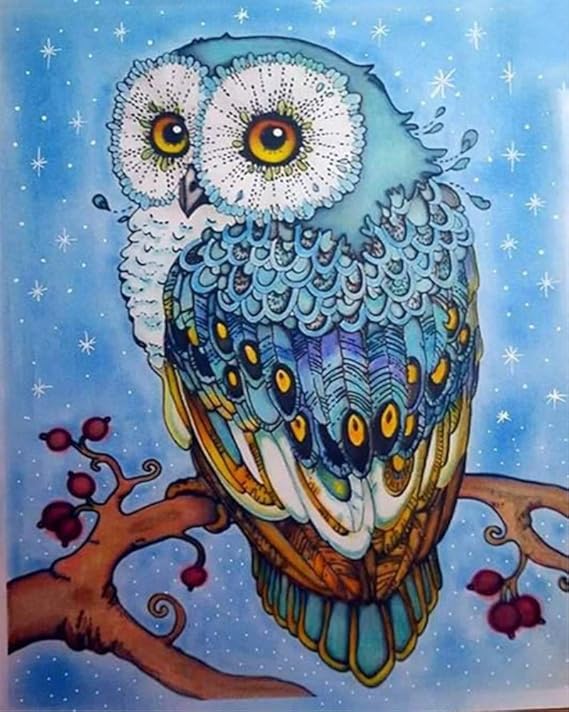 WOWDECOR DIY Malen nach Zahlen Kits Geschenk für