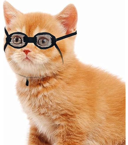 vomvomp 3 Pack Cat Eye Patch for Cats Missing Eyes Single