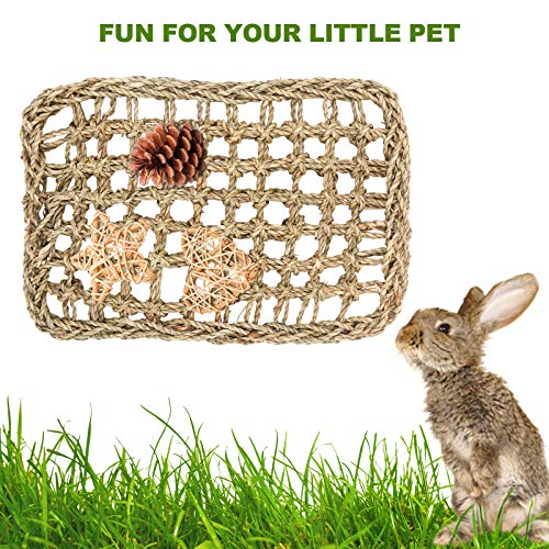 Rabbit Seagrass Mat, Bunny Chinchilla Activity Protector Mat for Teeth