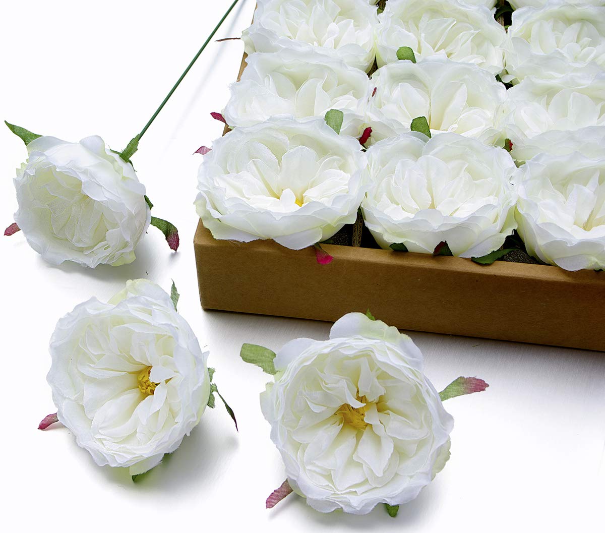 Best White Wire Garden Arch