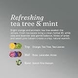 Miniml Natural Hair Conditioner 5L Refill Tea Tree Mint Eco Cruelty Free view 5