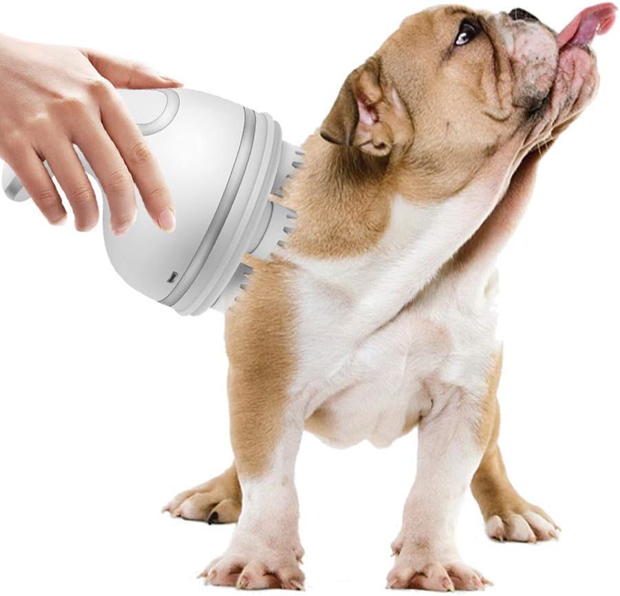 The 10 Best Pet Hair Vacuum Massager Handheld
