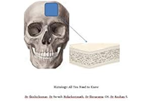 Histology: All You Need to Know