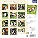 Boston Terrier Puppies 2017 Wall Calendar