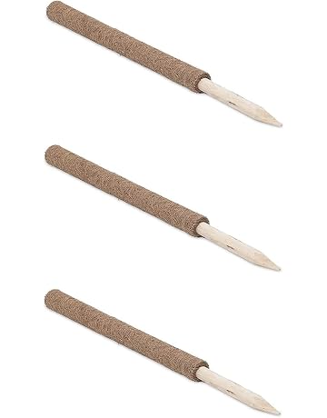 Amazon.es: Soportes para plantas: Jardín