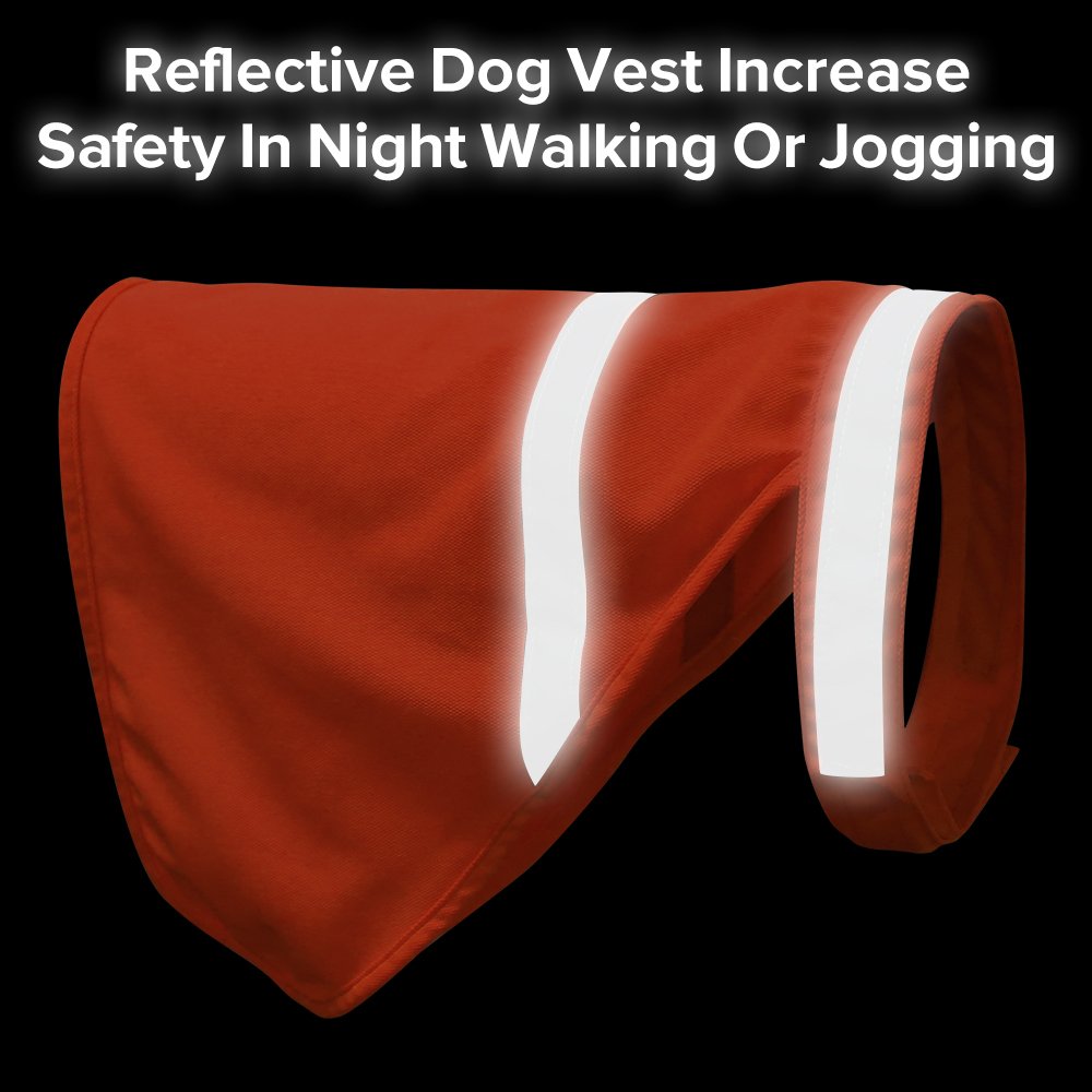 Clan_X Reflective Dog Vest, High-Visible Lightweight Dog Safety Cloth to Keep Dogs Safe, Adjustable Sizes to Fit Small, Medium, Large Breeds for Walking, Hunting, Jogging, Training. (L, Orange)