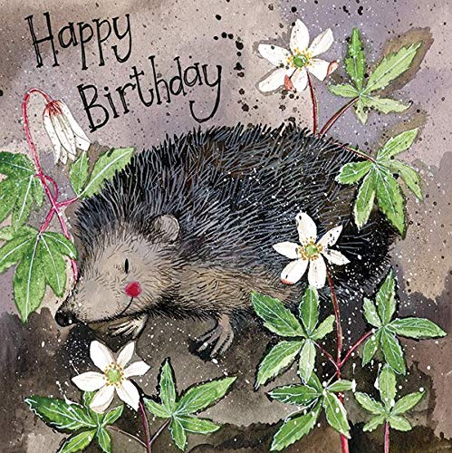 ALEX CLARK Mr Prickly Hedgehog Birthday Card