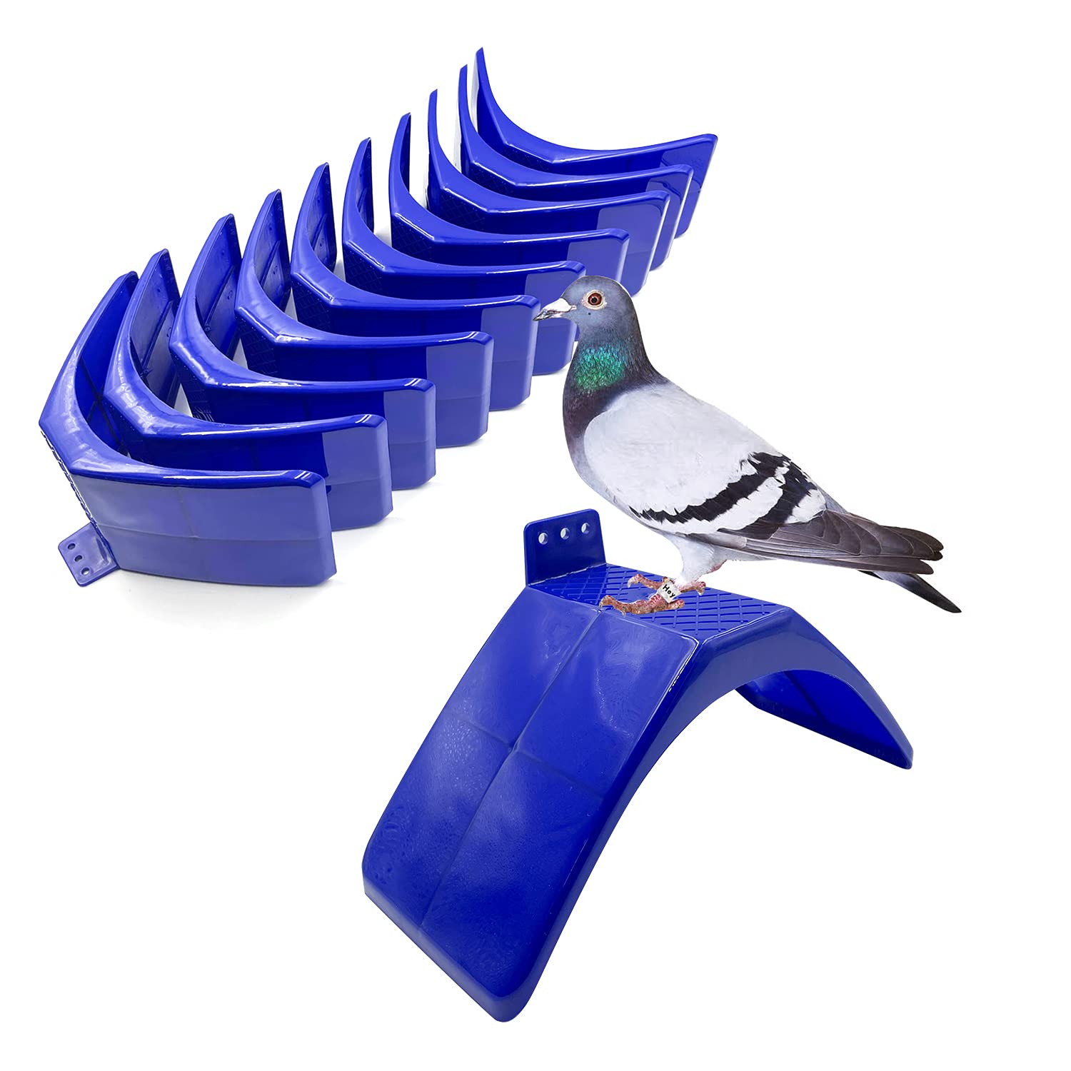 Pigeons Perches,10PCS Lightweight Dove Rest Stand, Racing Pigeon Roost Bird Dwelling Stand Support Cage Supplies, Blue