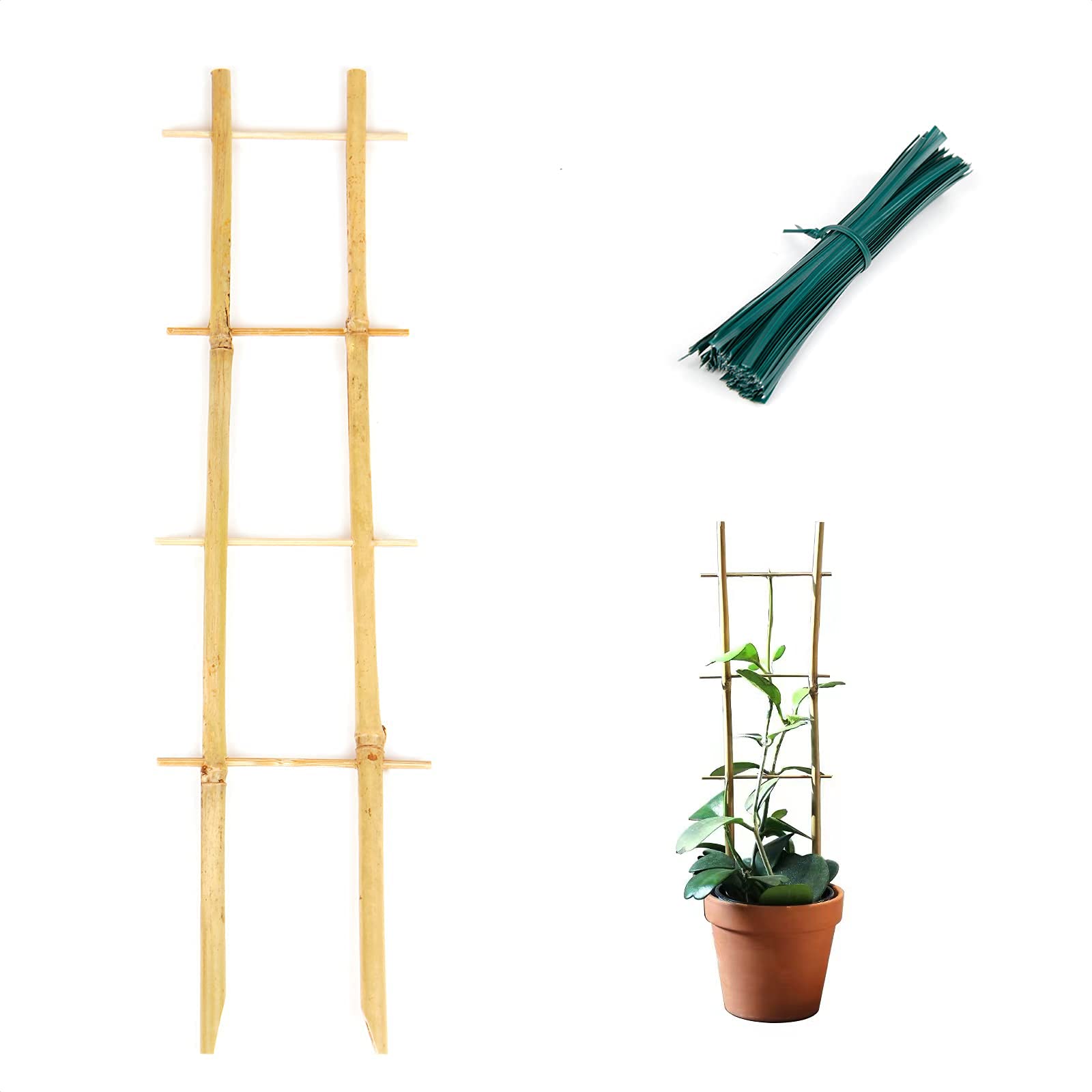 Cambaverd Indoor Plant Trellis, 16in Bamboo Trellis Ladder-Shaped Trellis for Potted Plants with Twist Ties, 3 Pack Trellis for Climbing Plants Hoya Vine Ivy Houseplants
