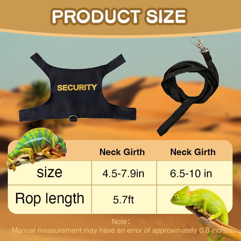View 5