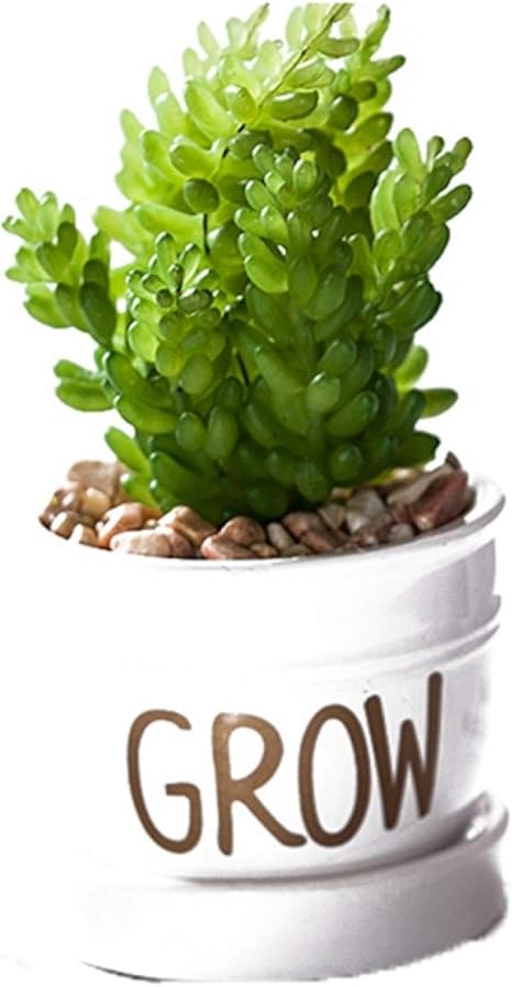 Amazon 人工 アソート ミニ多肉植物 正方形ガラスプランター ミニグリーン 家庭やオフィスの装飾に かわいい キッチン トイレ 消臭 おしゃれ かわいい お手入れ不要 F 抗菌 フラワー インテリア 人工造花 インテリア 人工多肉植物 人工観葉植物 オンライン通販