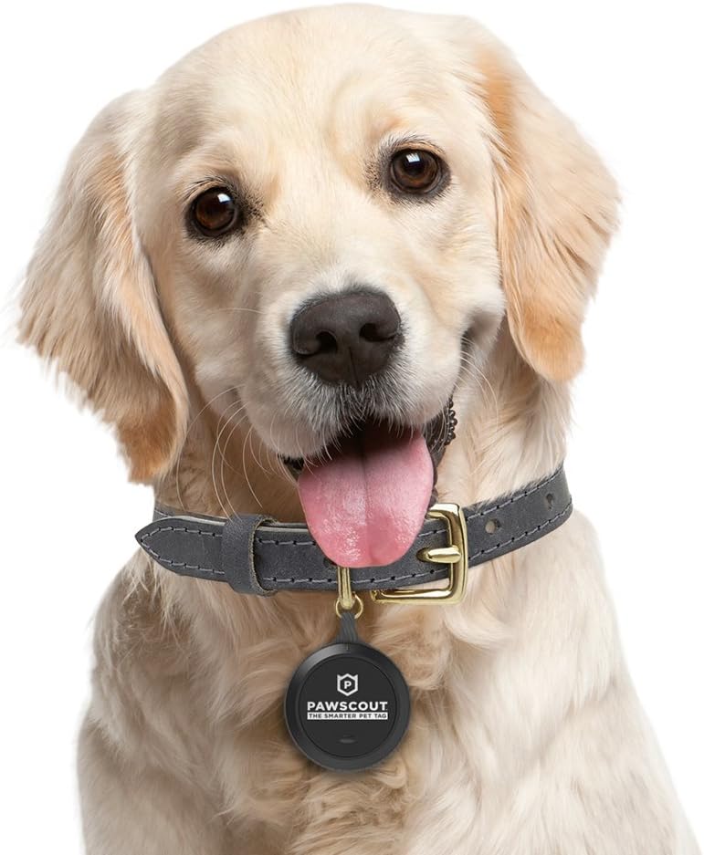 pawscout smart tag