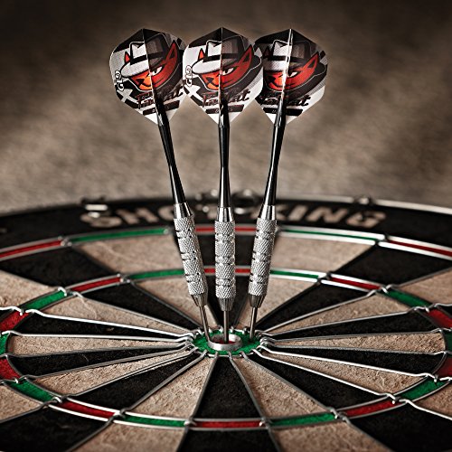 Fat Cat Darts in a Jar: Steel Tip Darts with Storage/Travel Container, 19 Grams (Pack of 21)