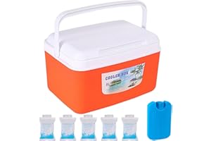 8L Hard Cooler with Ice Packs, Small Ice Chest with 48-Hour Cold Retention, Portable Cooler Box for Outdoor, Beach, Camping &