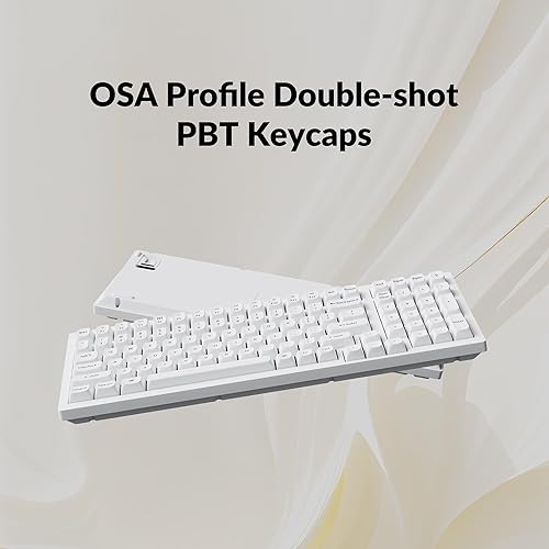 Keychron K4 Pro QMK/VIA Custom Mechanical Keyboard, Programmable Macro Wireless Bluetooth 5.1/Wired USB Keyboard with Hot-Swappable RGB Back並行輸入品 : Keychron K4 Pro 96% Layout Wireless QMK⁄VIA Custom