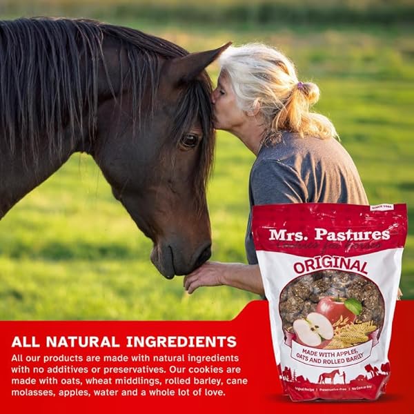 MRS PASTURES COOKIES AND TREATS FOR HORSES – PREMIUM HORSE TREATS – MADE WITH APPLES, OATS, AND ROLLED BARLEY – PRESERVATIVE FREE – ALL NATURAL INGREDIENTS – NO CORN OR SOY – MADE IN USA – (5LB BAG)