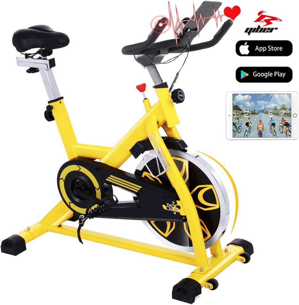 Bellar Sport Indoor Cycling Bike Stationary - Cycle Exercise Bike with 49LBS Flywheels, Ipad Mount & Comfortable Seat Cushion & APP Control