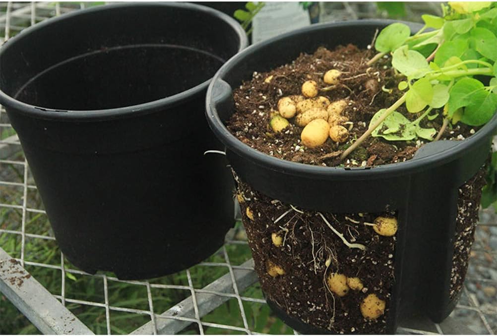 Plástico Siembra Macetas con Drenaje Vivero Tomates en Maceta ...