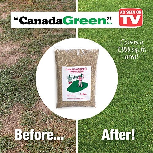 Canada Green Grass Seed 2 Lb Bag Brown