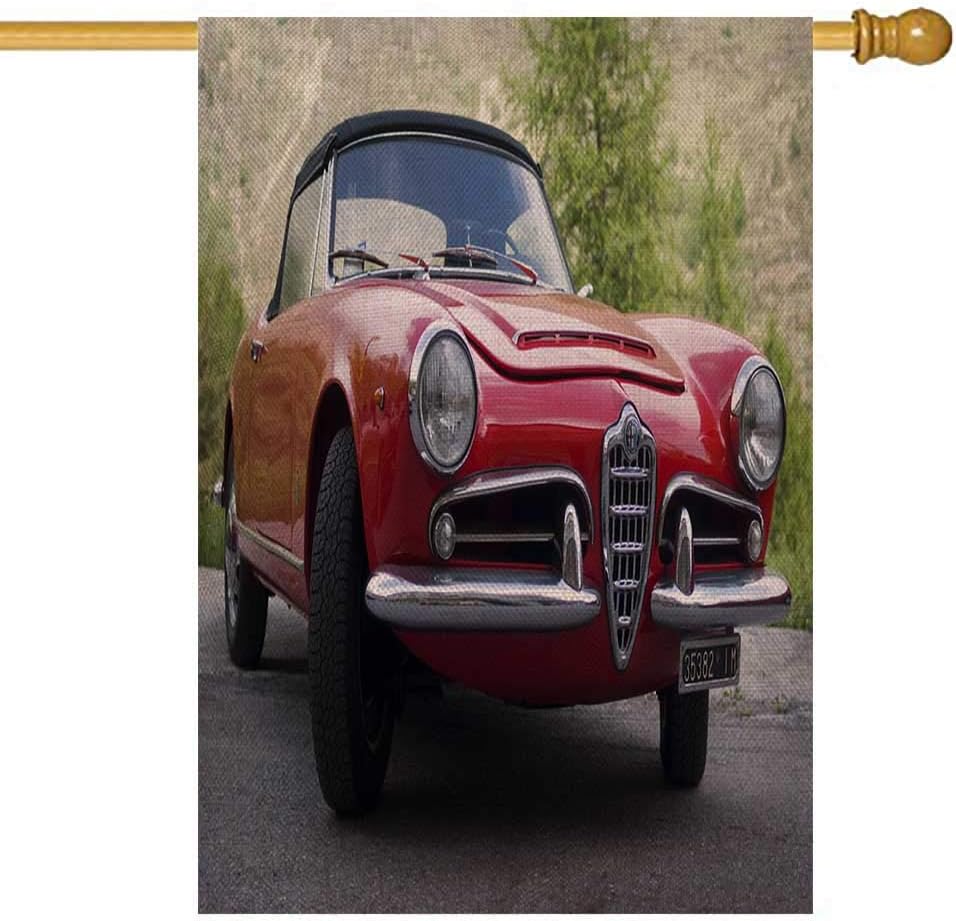 Bisead Christmas House Flags 28X40 Inch Holiday Garden Flags Italy May Spider Parked in Street Italy May 14 Alfa Romeo Giulietta a Imperia 2011 Holiday Garden Flags,Seasonal Garden Flags