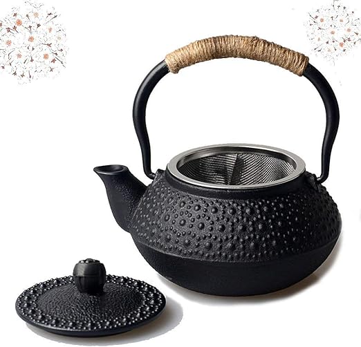 HwaGui Mini Cast Iron Teapot with Infuser Small Tetsubin Black Tea