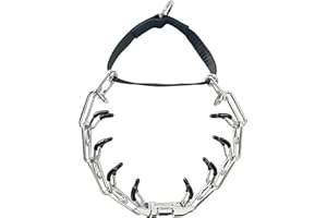 SAFIMAN Dog Collar with Quick Release Buckle Dog (XL (Neck: 22"-26''))