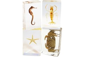 REAL BUG 4 Pc Sea Life Paperweight Collection