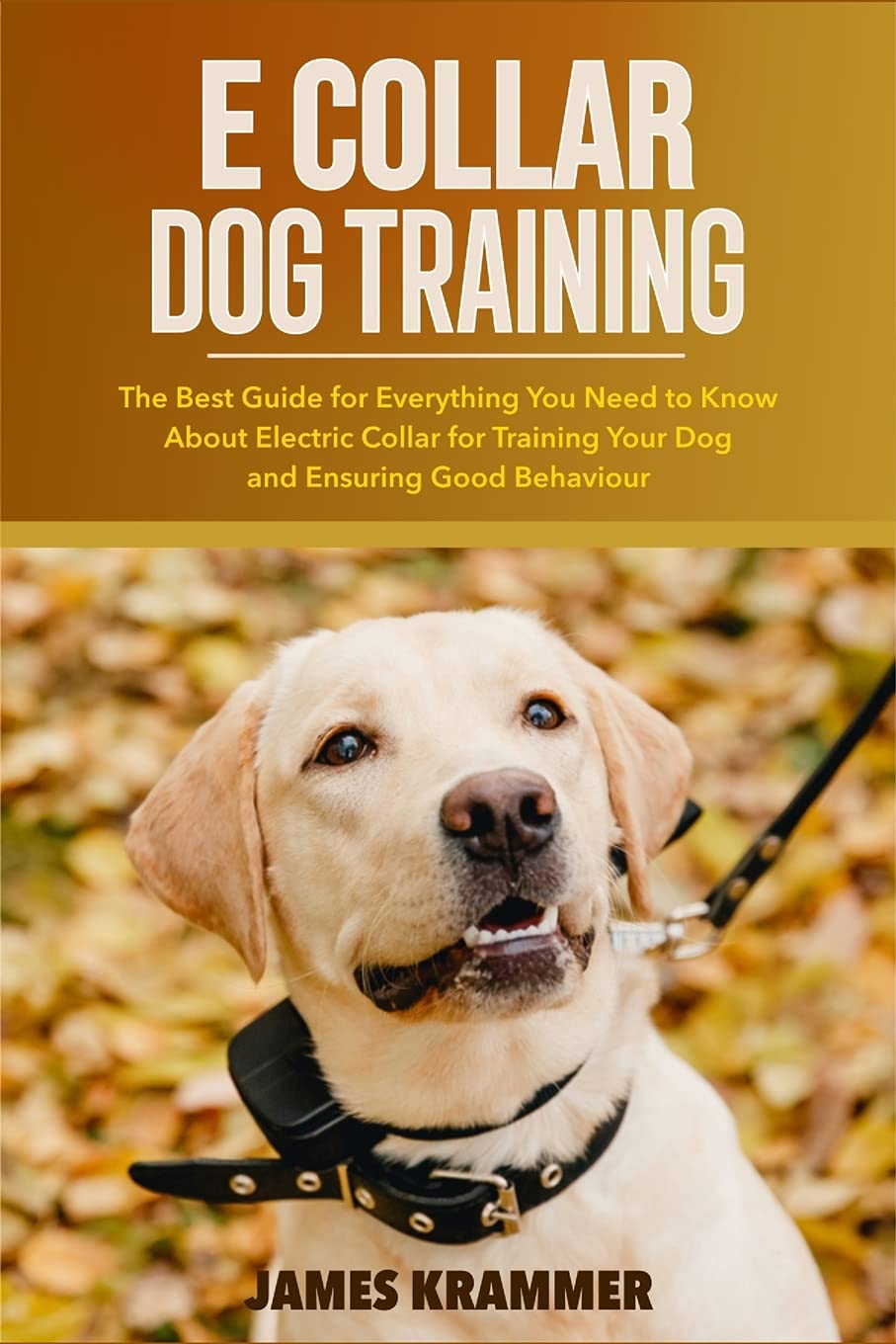 e collar training guide