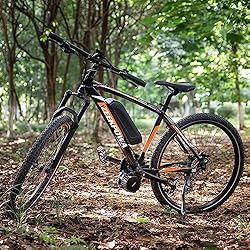 Bafang 1000w 48V Central Motor with BBS03 Battery