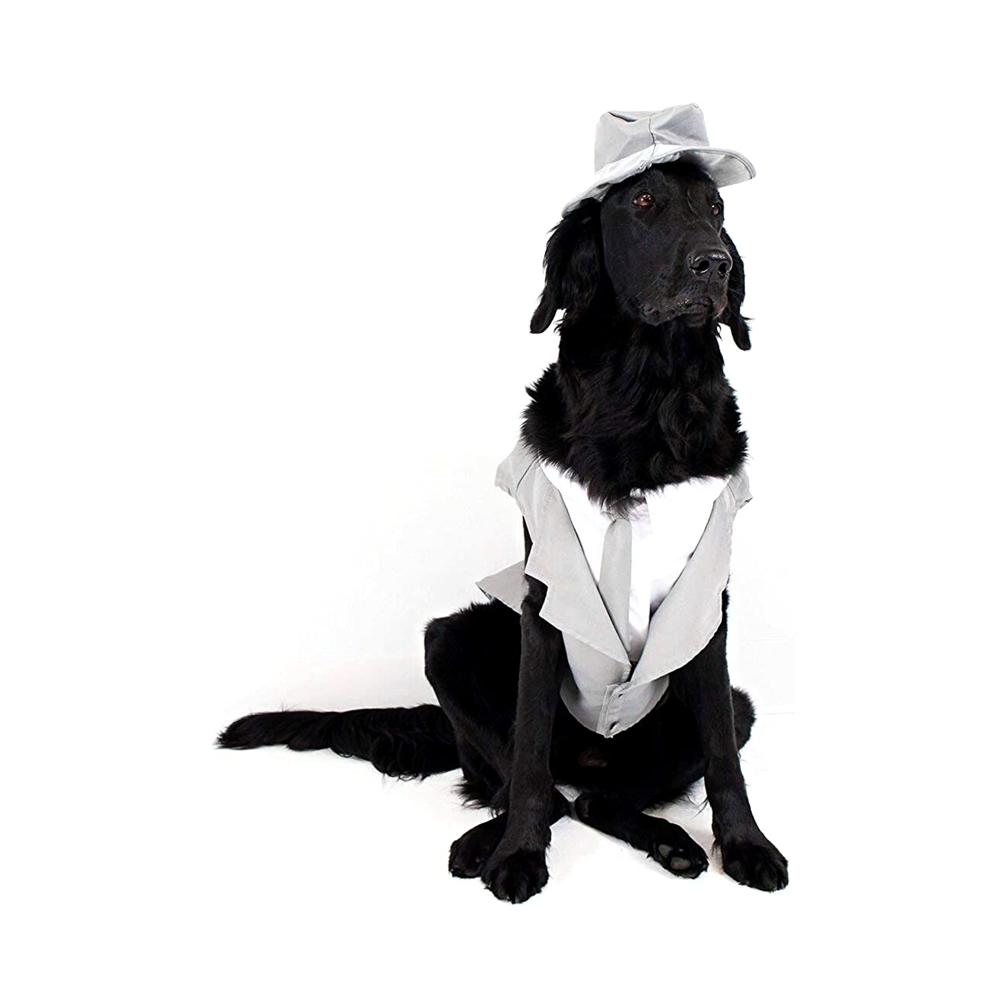 Midlee Dog Tuxedo Wedding Suit Dog Costume - Gray Top Hat & Leash (X-Large)