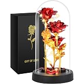 Tayfeim Mothers Day Mom Gifts for Women, Womens Gift for Birthday Gifts for Women Mom Wife Girlfriend, Light Up Rose in A Glass Dome, Rose Gifts for Valentines, Mothers Day, Womens Day (Red)