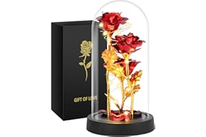 Mothers Day Rose Gifts for Mom, Womens Gift for Mom Valentines Day Mothers Day Teacher Appreciation Graduation, Birthday Gift