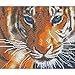 DIY 5D Diamond Painting by Number Kits, Full Drill Crystal Rhinestone Embroidery Pictures Arts Craft for Home Wall Decor Gift,Aggressive Tiger