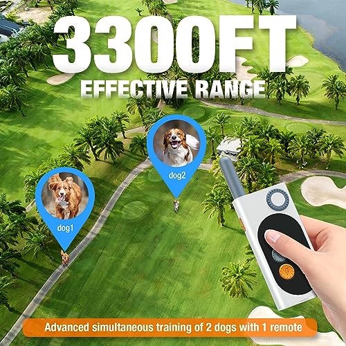 Dog Shock Collar -3 Modes Electric Dog Training Collar with Voice Control Remote for Large Medium Small Dogs, E Dog Shock Collar with 16 Levels Beep Vibrating Shock 3300FT