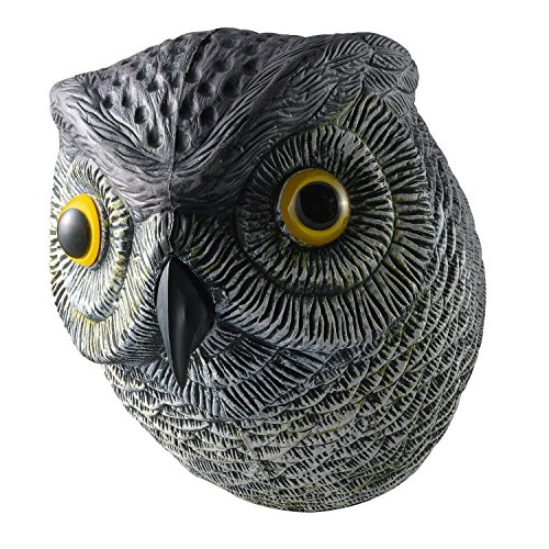 VisualScare Horned Owl Pest Deterrent with Moving Wings Scare Birds