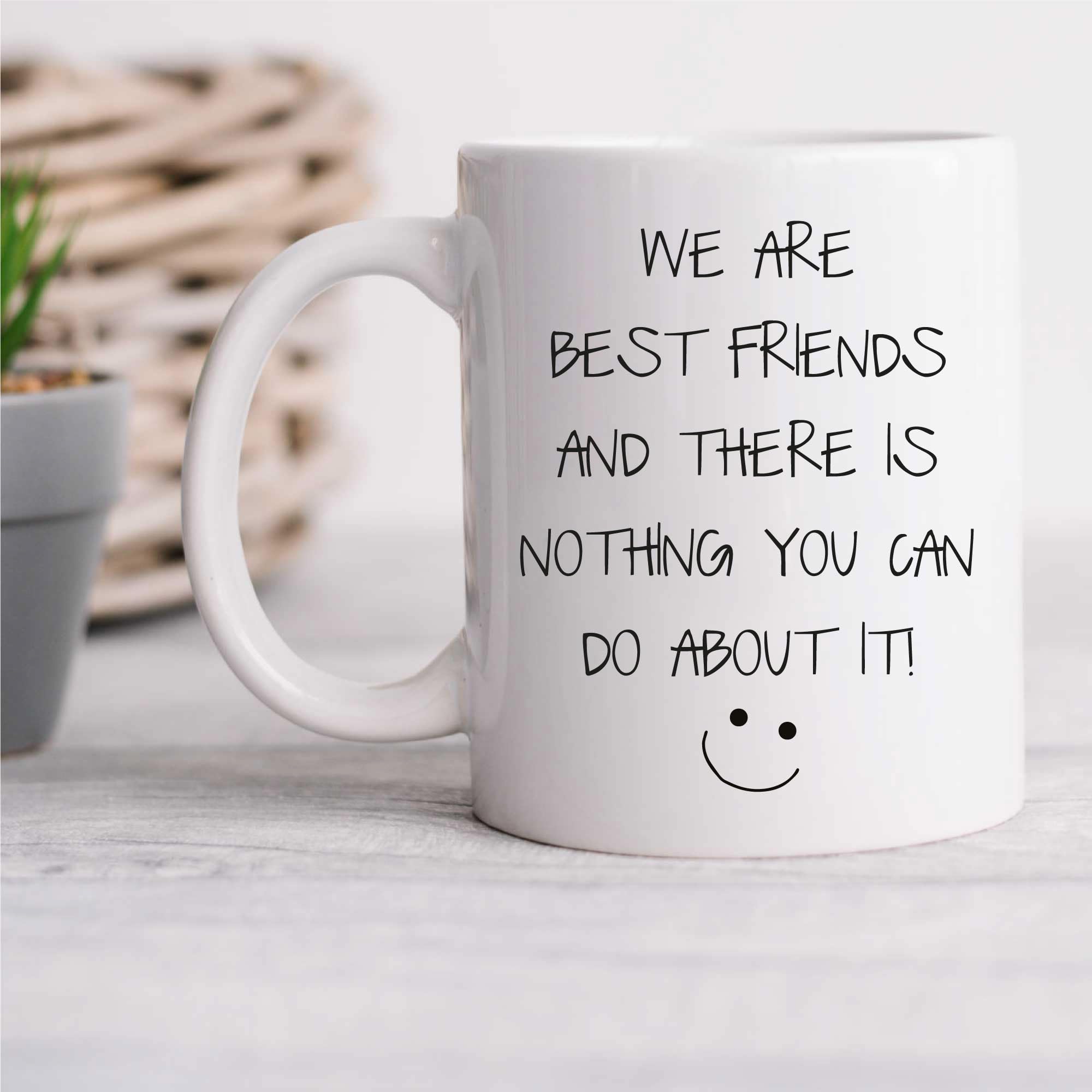 60 Second Makeover Limited We are Best Friends and There is Nothing You Can Do About It Mug Sarcasm Sacrastic Bestfriend Gifts for Best Friend Funny Gift Cup Birthday Christmas Bestie Present BFF