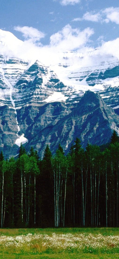 PeelitStickit, Beautiful Nature Wall Murals, ID-0202, vinyl